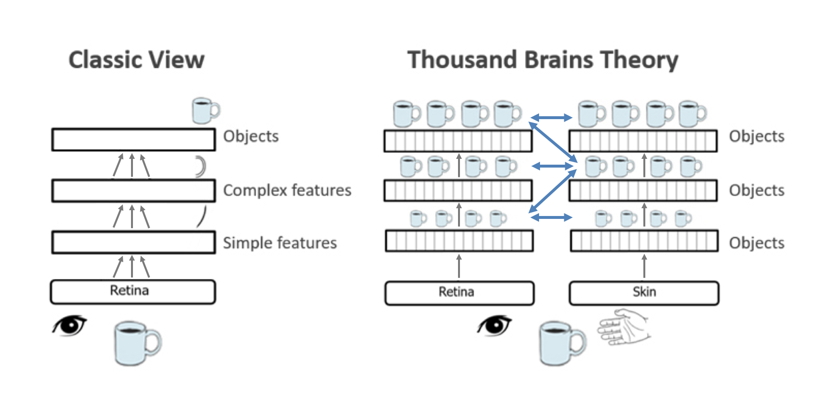Classic Hierarchy View vs. Thousand Brains
